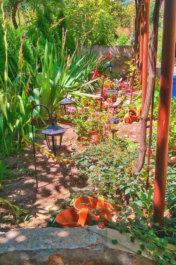 ביאלה Tatyana Guest House מראה חיצוני תמונה